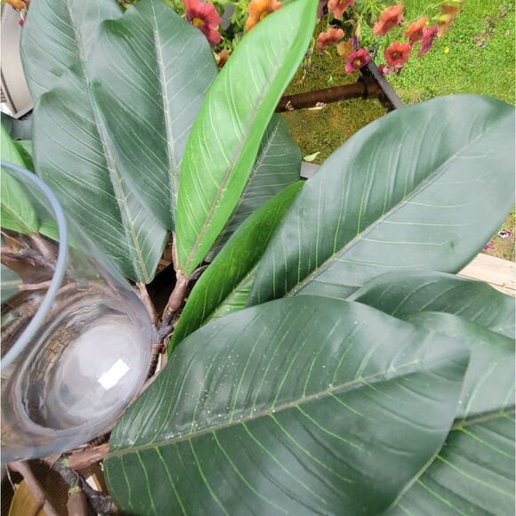 Candle Holder - Picture 10 of 11